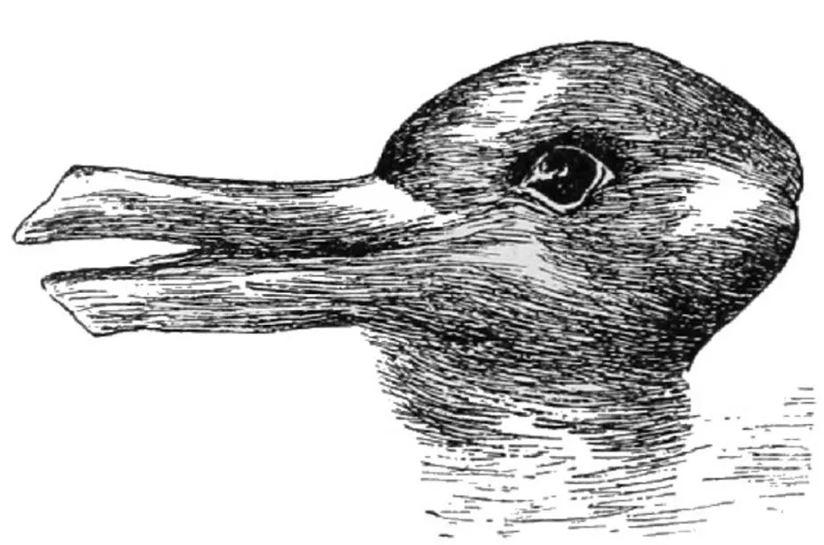 It's duck season, it's rabbit season.